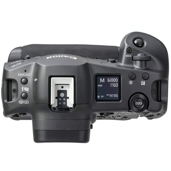 Canon EOS R3 Mirrorless Camera Bundle Professional-4