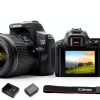 Canon EOS 250D DSLR Camera Bundle Black International-3