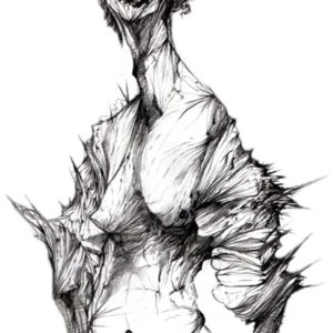 Nomad War Machine Susan Alcollab Pedal Steel Guitar Album-0